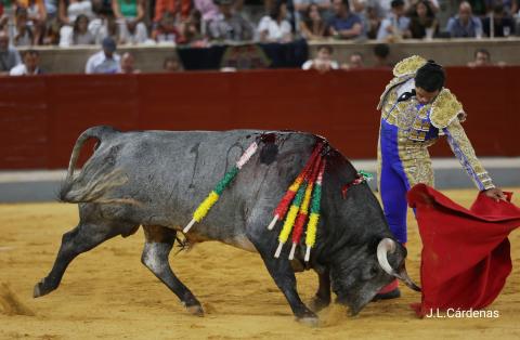 NOVILLADA DEL ANIVERSARIO 