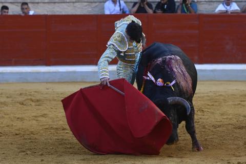 8ª Novillada XXV Alfarero de Oro 2025