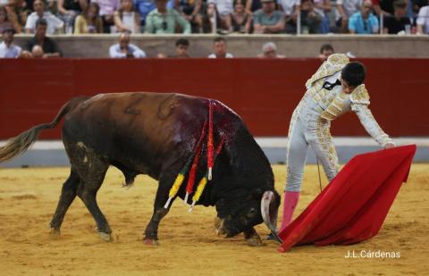 4ª Novillada XXV Alfarero de Oro 2025