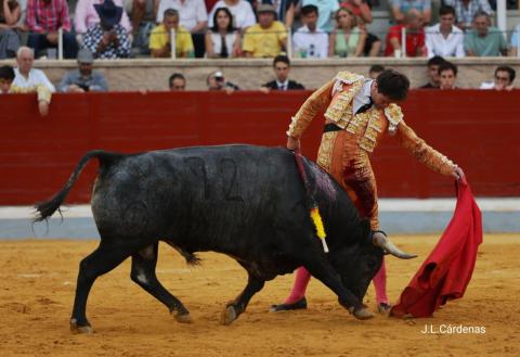 6ª Novillada XXV Alfarero de Oro 2025