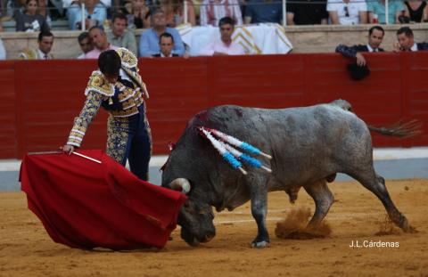 7ª Novillada XXV Alfarero de Oro 2025