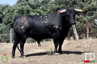 Montealto