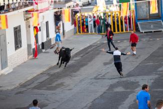 459142214_925695202924184_2385702838120865173_n.