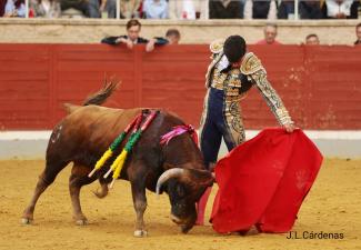 2ª NOVILLADA CLASIFICATORIA XI ALFARERO DE PLATA 2025