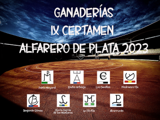 IX Alfarero de Plata 2023