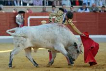 2ª Novillada Clasificatoria IX Alfarero de Plata 2023