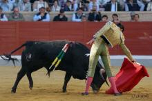 2ª Novillada Clasificatoria IX Alfarero de Plata 2023