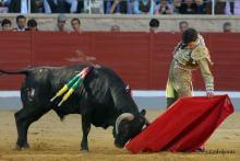 2ª Novillada Clasificatoria IX Alfarero de Plata 2023