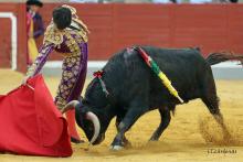 2ª Novillada Clasificatoria IX Alfarero de Plata 2023