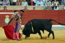 2ª Novillada Clasificatoria IX Alfarero de Plata 2023