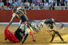 2ª Novillada Clasificatoria IX Alfarero de Plata 2023