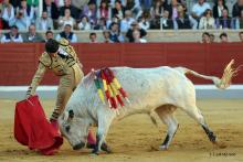 2ª Novillada Clasificatoria IX Alfarero de Plata 2023