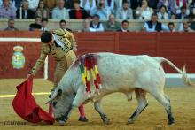 2ª Novillada Clasificatoria IX Alfarero de Plata 2023