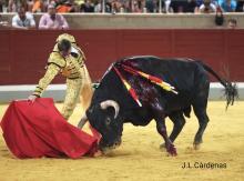 RESUMEN FOTOGRÁFICO ÚLTIMA NOVILLADA XXII CERTAMEN ALFARERO DE ORO 2022