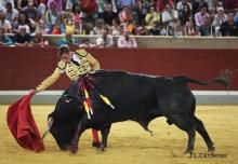 RESUMEN FOTOGRÁFICO ÚLTIMA NOVILLADA XXII CERTAMEN ALFARERO DE ORO 2022