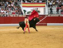 RESUMEN FOTOGRÁFICO ÚLTIMA NOVILLADA XXII CERTAMEN ALFARERO DE ORO 2022