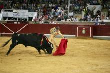 RESUMEN FOTOGRÁFICO ÚLTIMA NOVILLADA XXII CERTAMEN ALFARERO DE ORO 2022