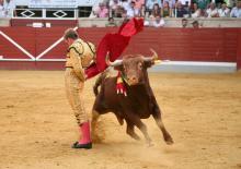 RESUMEN FOTOGRÁFICO ÚLTIMA NOVILLADA XXII CERTAMEN ALFARERO DE ORO 2022