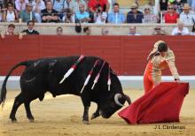 RESUMEN FOTOGRÁFICO ÚLTIMA NOVILLADA XXII CERTAMEN ALFARERO DE ORO 2022