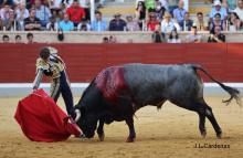 RESUMEN FOTOGRÁFICO ÚLTIMA NOVILLADA XXII CERTAMEN ALFARERO DE ORO 2022