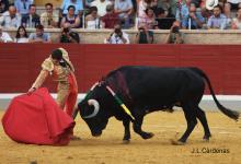 RESUMEN FOTOGRÁFICO ÚLTIMA NOVILLADA XXII CERTAMEN ALFARERO DE ORO 2022