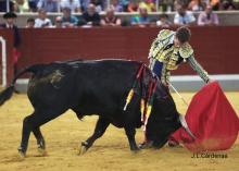 RESUMEN FOTOGRÁFICO ÚLTIMA NOVILLADA XXII CERTAMEN ALFARERO DE ORO 2022