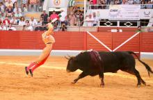 RESUMEN FOTOGRÁFICO ÚLTIMA NOVILLADA XXII CERTAMEN ALFARERO DE ORO 2022