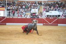 RESUMEN FOTOGRÁFICO ÚLTIMA NOVILLADA XXII CERTAMEN ALFARERO DE ORO 2022