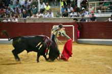 RESUMEN FOTOGRÁFICO ÚLTIMA NOVILLADA XXII CERTAMEN ALFARERO DE ORO 2022