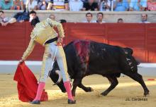 3ª De Feria XXII Alfarero de Oro 2022