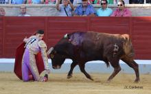 3ª De Feria XXII Alfarero de Oro 2022