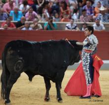 Galería Quinto Festejo XXII Alfarero de Oro 2022 5