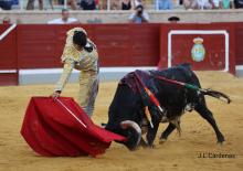 3ª De Feria XXII Alfarero de Oro 2022