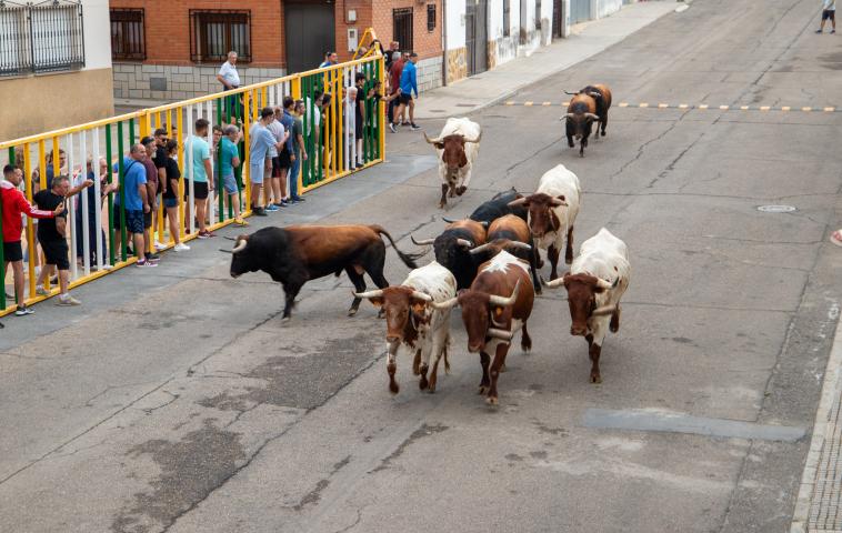 458464714_921515160008855_27295228144067378_n