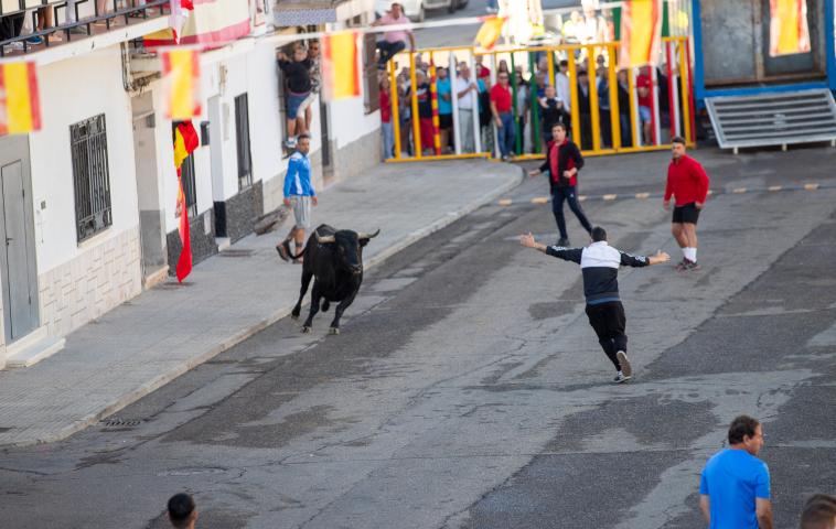 459142214_925695202924184_2385702838120865173_n.