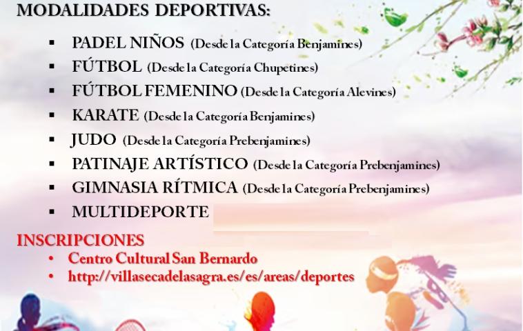 Escuelasdeportivasvill_0