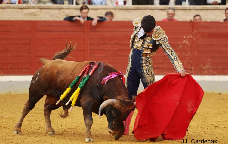 2ª NOVILLADA CLASIFICATORIA XI ALFARERO DE PLATA 2025