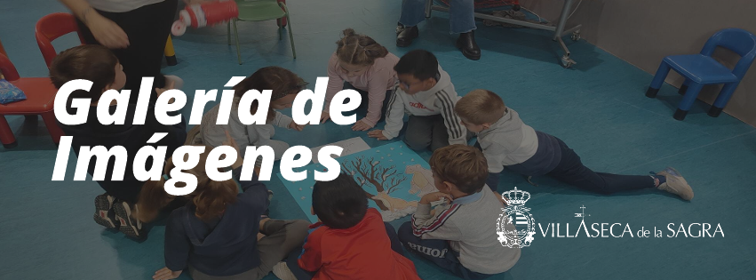 Galería de Imágenes- Gamificación